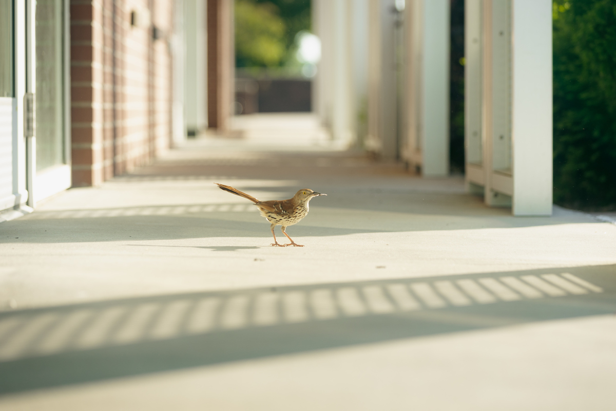 lenoirrhyne's tweet photo. Found these in our camera roll. #lrviews https://t.co/Z53rOfUo9Z