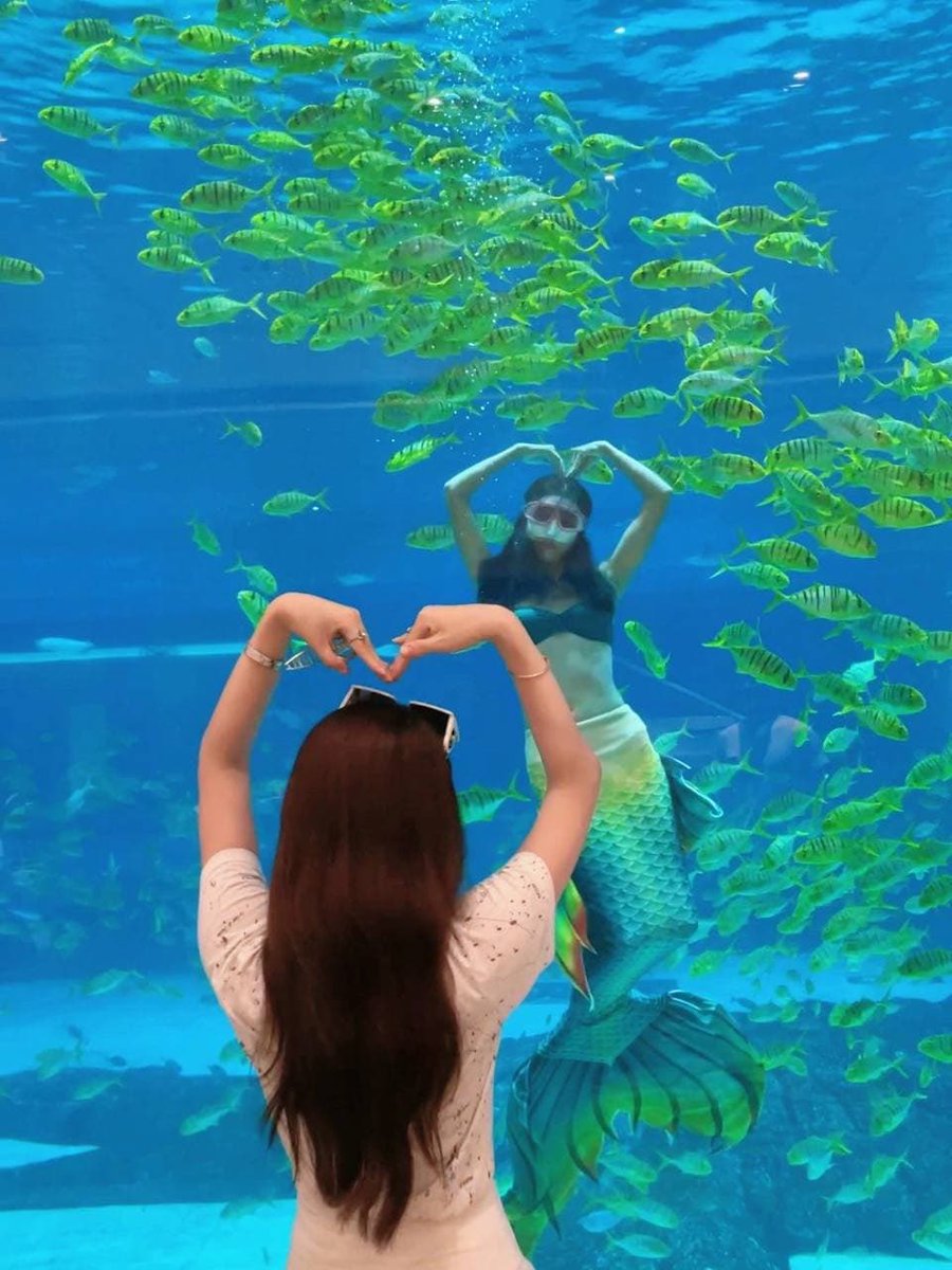 I'm a mermaid, too😎