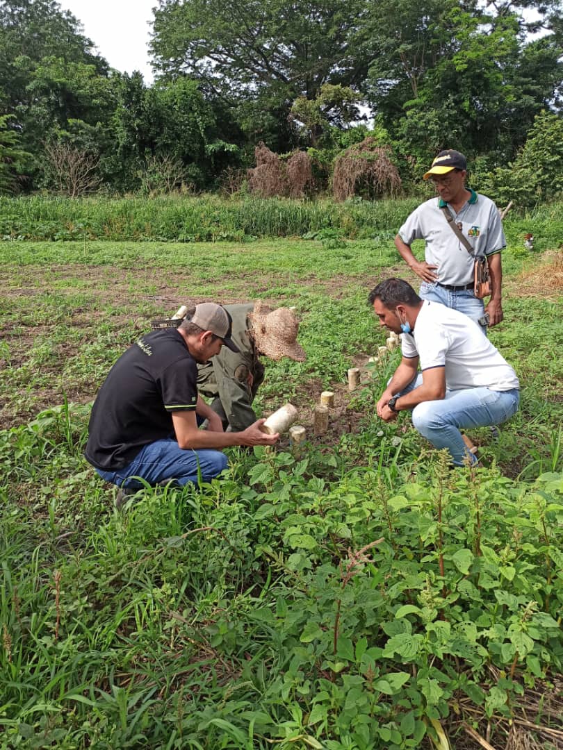 INTi_Venezuela's tweet photo. #CrecimientoProductivo  🇻🇪

Dinamizar, Emprender, Producir y Vencer. https://t.co/ajMHxKLS7G