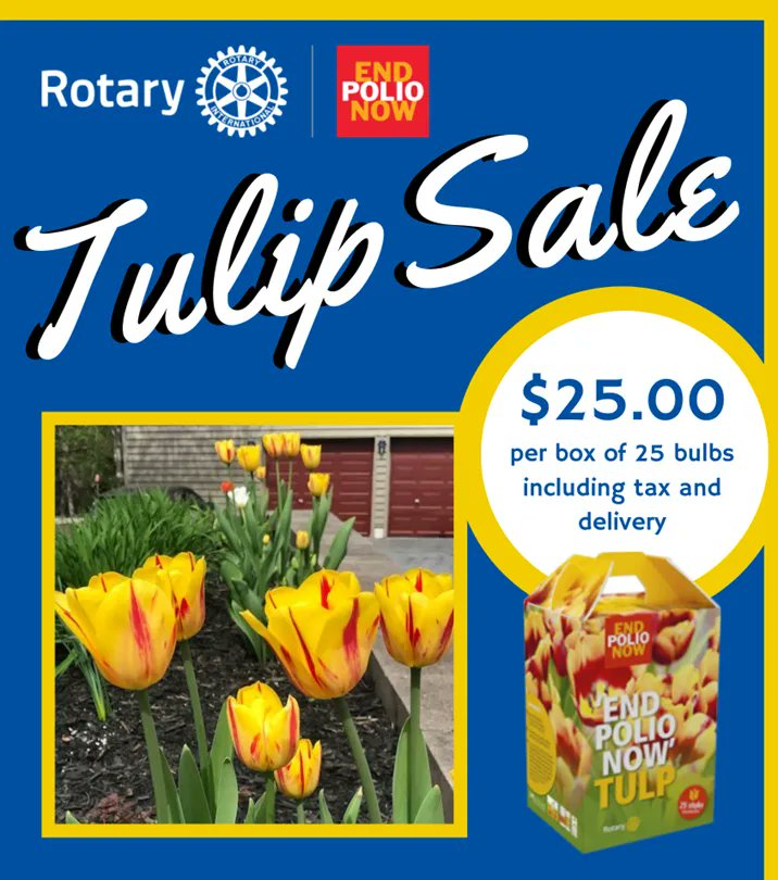 RotaryGTrillium's tweet photo. Gardeners are always planting or planning, so we are selling tulip bulbs to support @endpolionow. Buy these beautiful bulbs for your garden, a friend’s  or even to  plant in Marianne’s Park Guelph. Visit https://t.co/HlZetqeBCS to order today. #rotaryclubguelphtrillium #Guelph https://t.co/xNtd7ndtjI