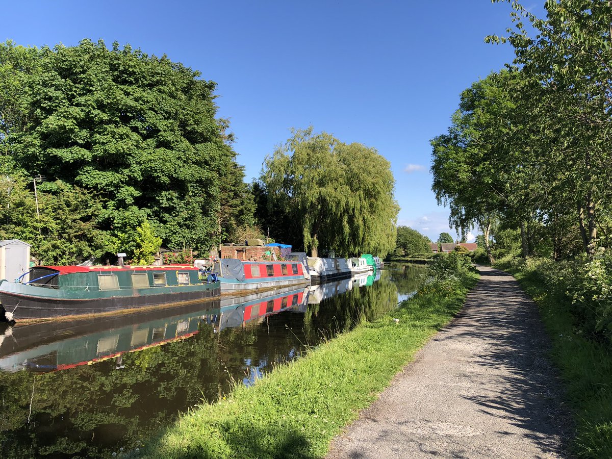 zevonesque's tweet photo. Wednesday’s #DailyDeliveryPhoto Sunny, sunny, sunny. https://t.co/A7zv33jYC6