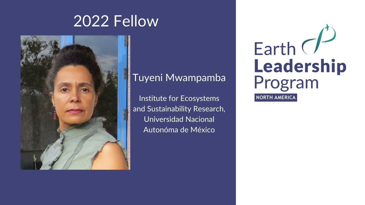 Tuyeni Mwampamba (<a href="/KasukuWaPwani/">Tuyeni H Mwampamba</a>) works to understand how to make charcoal production sustainable, as it is the primary fuel source for cooking for billions of people.
Learn more about Tuyeni bit.ly/39HdWMN
#collectiveleadership <a href="/CUBoulder/">CU Boulder 🦬</a> <a href="/FutureEarth/">Future Earth (@futureearth.bsky.social)</a> <a href="/StanfordWoods/">Stanford Woods Institute</a>