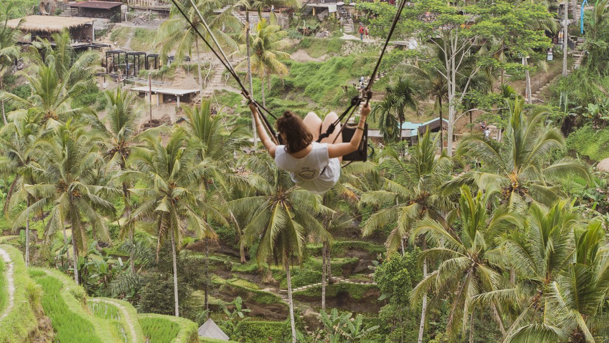 Whereabouts Holidays tweet media