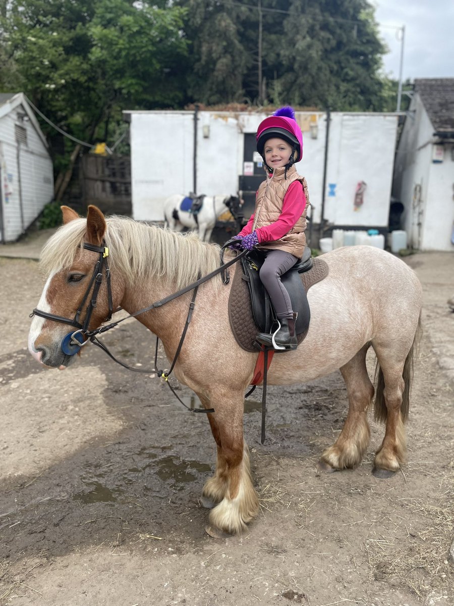 HaytonGina's tweet photo. @MPSClass4 Isla wouldn’t spend her time off school any other way…woodland hacks &amp; helping her grandma look after her horse 🐴 ❤️ https://t.co/CcOwi73Mvl