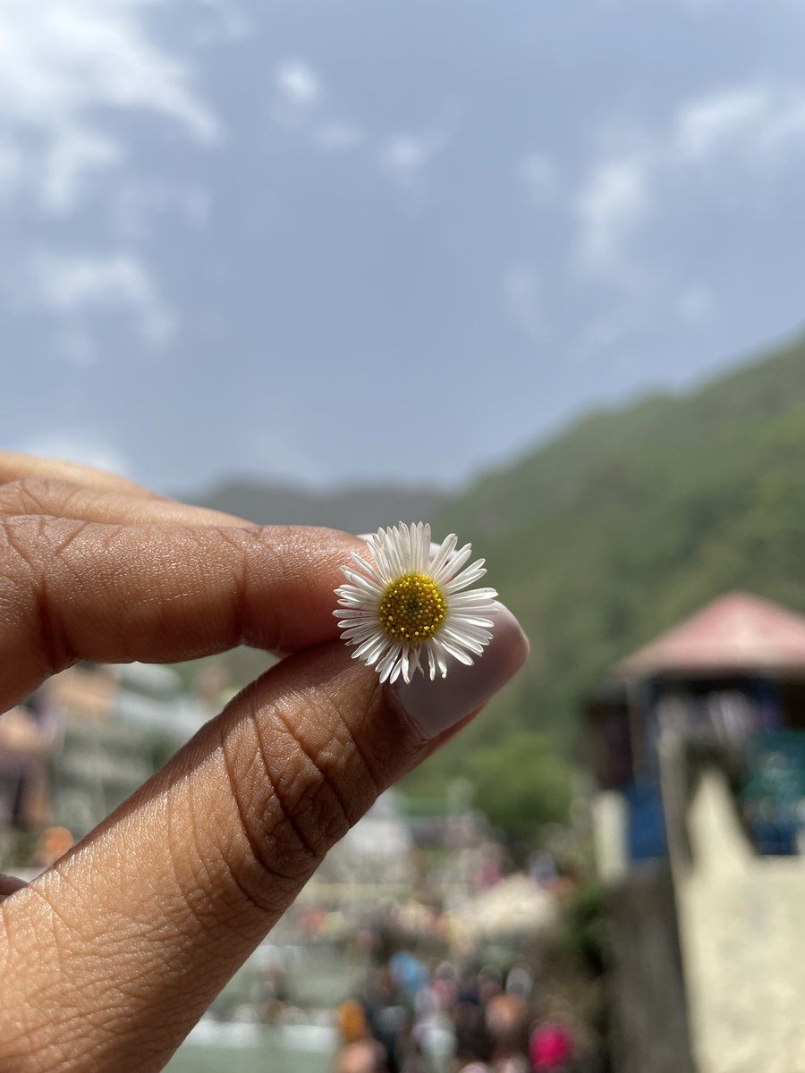 prekspective's tweet photo. 📍Uttarakhand Diaries https://t.co/rLziXTok9X