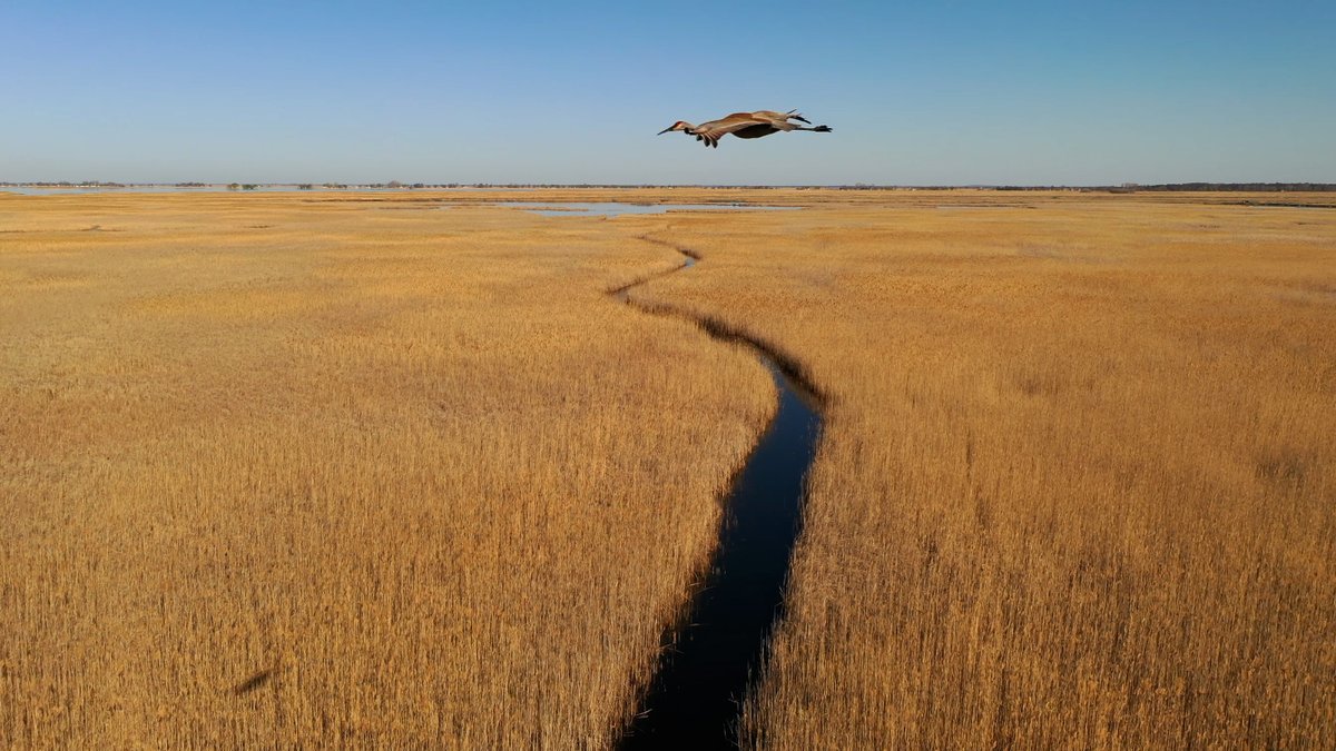 ICYMI: We're moving all our cool conservation and science posts to <a href="/DUConserve/">Ducks Unlimited Conservation</a>. This page is no longer active. Migrate over there and start following!