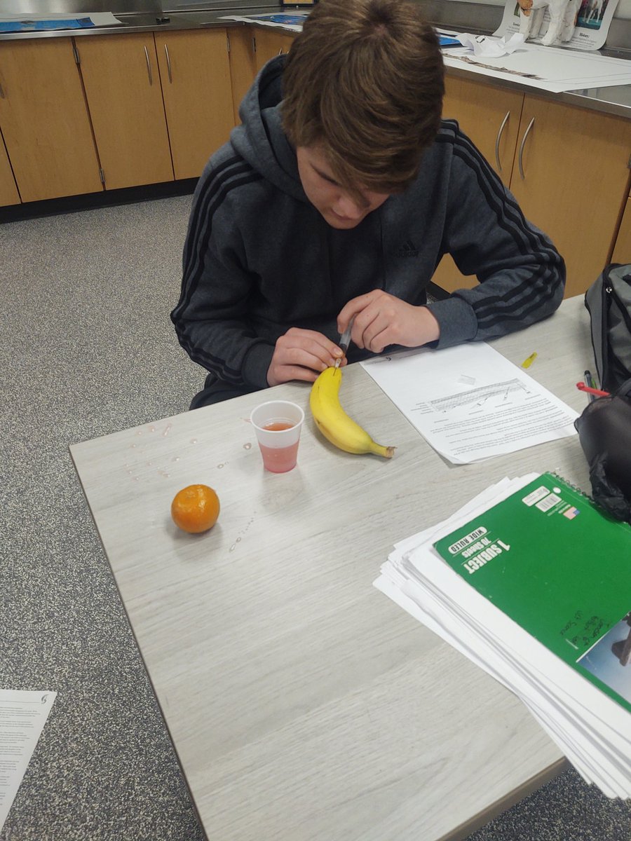 Fall Creek Vet Science Students learn to give 4 different types of injections. Engagement is still high in the last week of school. #gocrickets <a href="/fccrickets/">Fall Creek School District</a>