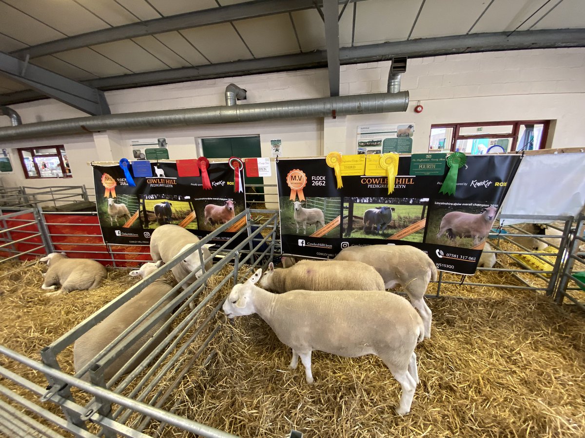 MarkFoley's tweet image. Congratulations @CowleyHillLleyn Fantastic! Well done 👍🏼