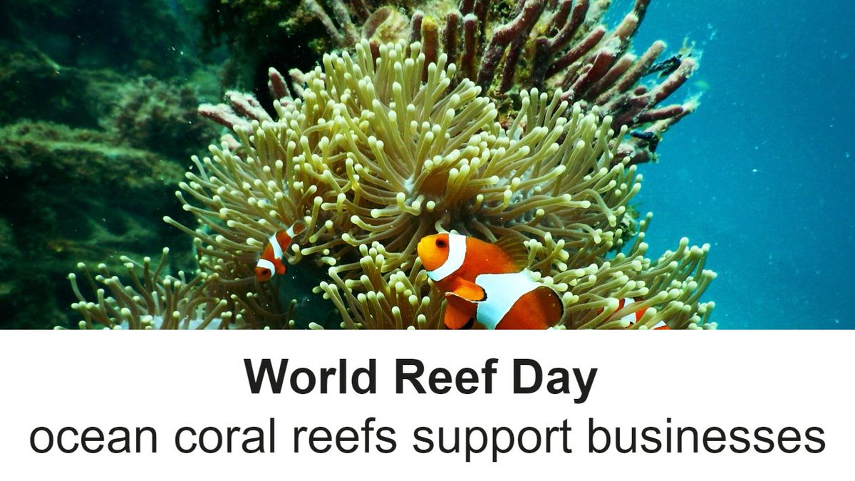 On the 1st of June, World Reef Day calls businesses to reflect on the delicate ecosystem of our ocean's coral reefs.

How does your business support reef protection?

#SI #SustainabilityInstitute #WorldReefDay #WorldReefDay2022 #ReefSafe #ProtectTheReef #SaveTheReef