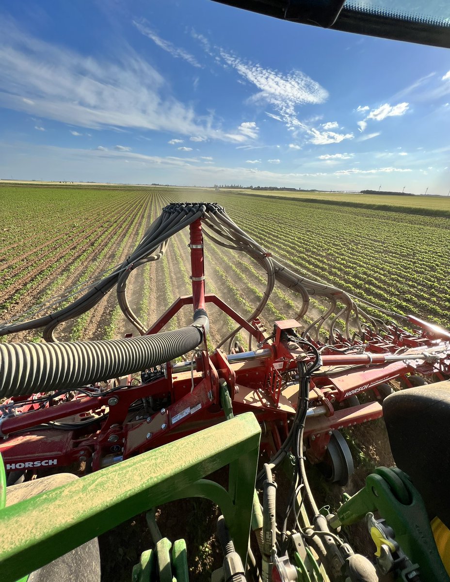 Binage de soja bio 🌱💨