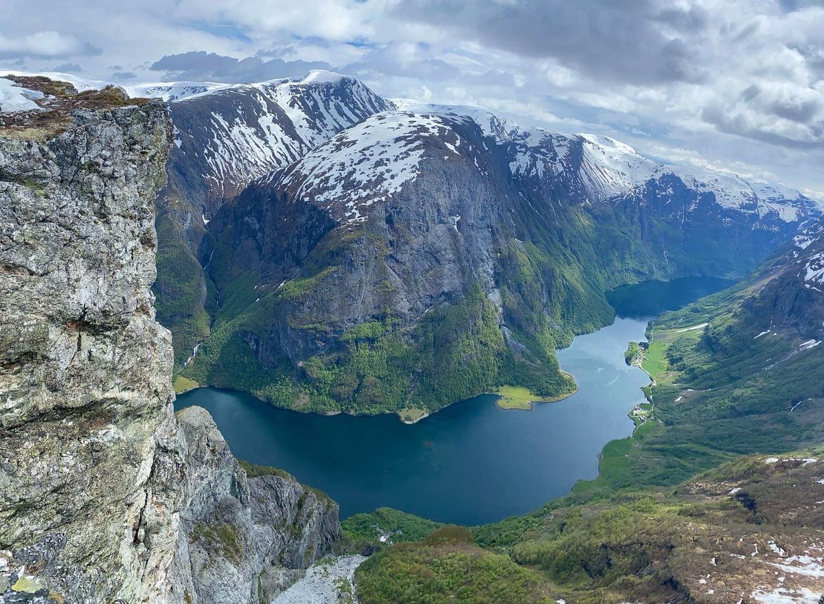 Nicole Booth tweet media