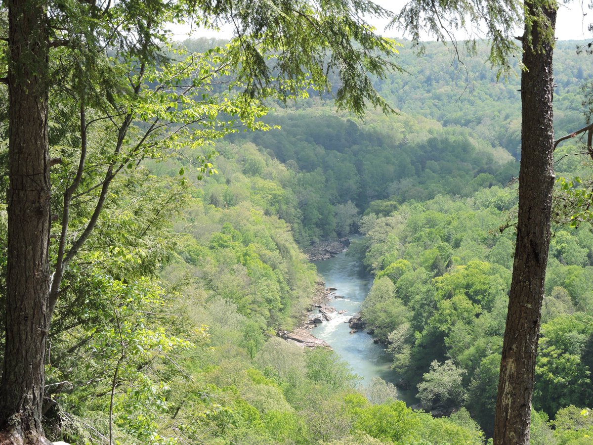 KentuckyEEC's tweet photo. Happy birthday, Kentucky!! 230 years looks good on you! On June 1, 1792, Kentucky became the 15th state in the Union. #TeamEEC will continue to protect your natural resources in an environmentally conscientious manner, and support sustainable energy solutions for your citizens. https://t.co/w33Qkq0Kjj