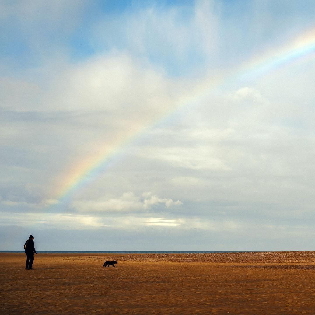 Come Back Daily tweet media