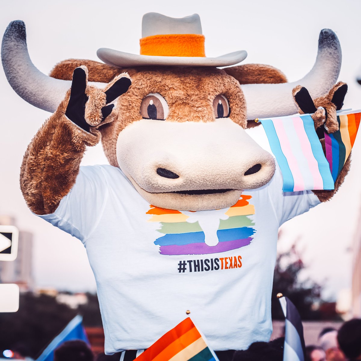 TexasLonghorns's tweet image. Love is love, y’all 🤘🌈

#Pride | #HookEm