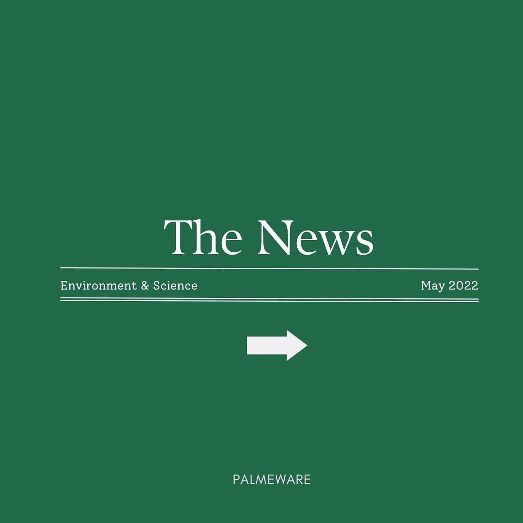 palmeware's tweet photo. Important ⚠️

Swipe left to read 👈
 
#Palmeware #OfEarthForEarth #LeafOnYourTable #NaturalTableware #BeTheChange #EcoFriendlyBrand https://t.co/u7Ia7X04WP