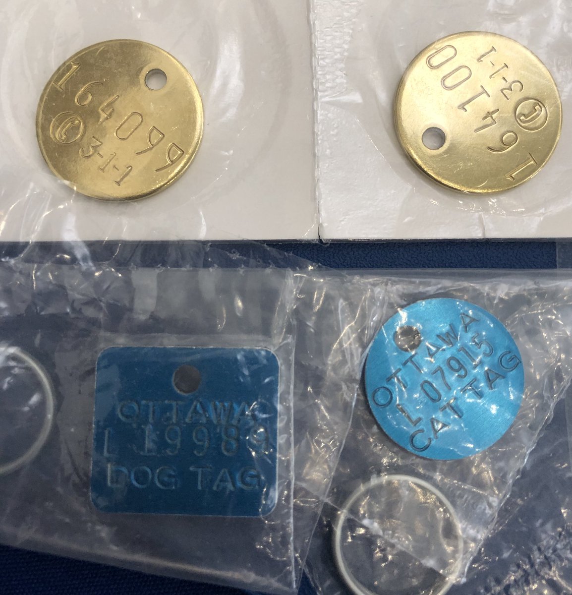 OttawaBylaw's tweet photo. What’s the difference between these tags?

The gold tags are regular 🐕 and 🐈 registration tags.

The blue tags are for service animals.

It is free to register your service animal in #OttCity.

https://t.co/OdmPLkTxBe
registration
#AccessAbilityDay https://t.co/RjUlgZaxJa