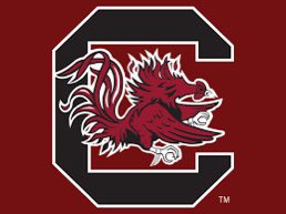 LHumphreys312's tweet photo. Beyond Blessed to have received an Offer from the University of South Carolina!!! @CoachSBeamer @coachjstepp @Coach_Satt @GamecockFB @CPAFootball @SoonerCountry7 @ELammers_Rivals https://t.co/GTn0AIakmQ