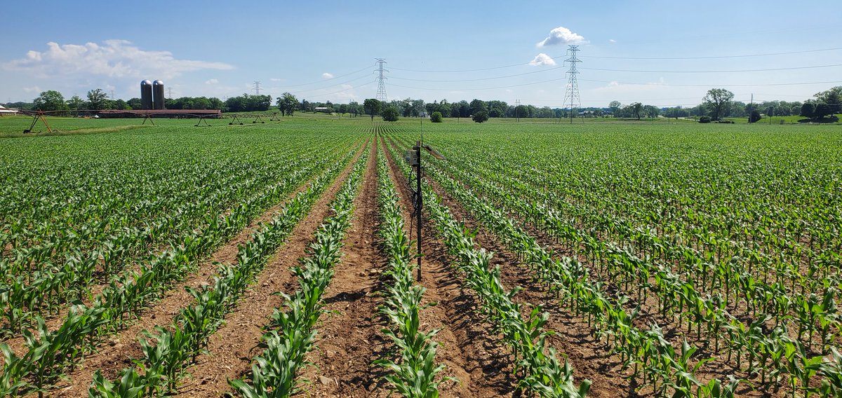 fultojp's tweet photo. 2022 season well on its way.  Soil Moisture-Temp install along with stand counts for a couple of #corn #efields studies.  #agtech #Precisionag #NutrientIntel https://t.co/uYMmEnJtOA