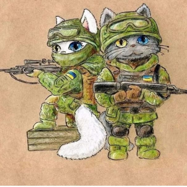 Anna Titova (@annacatukr) on Twitter photo 