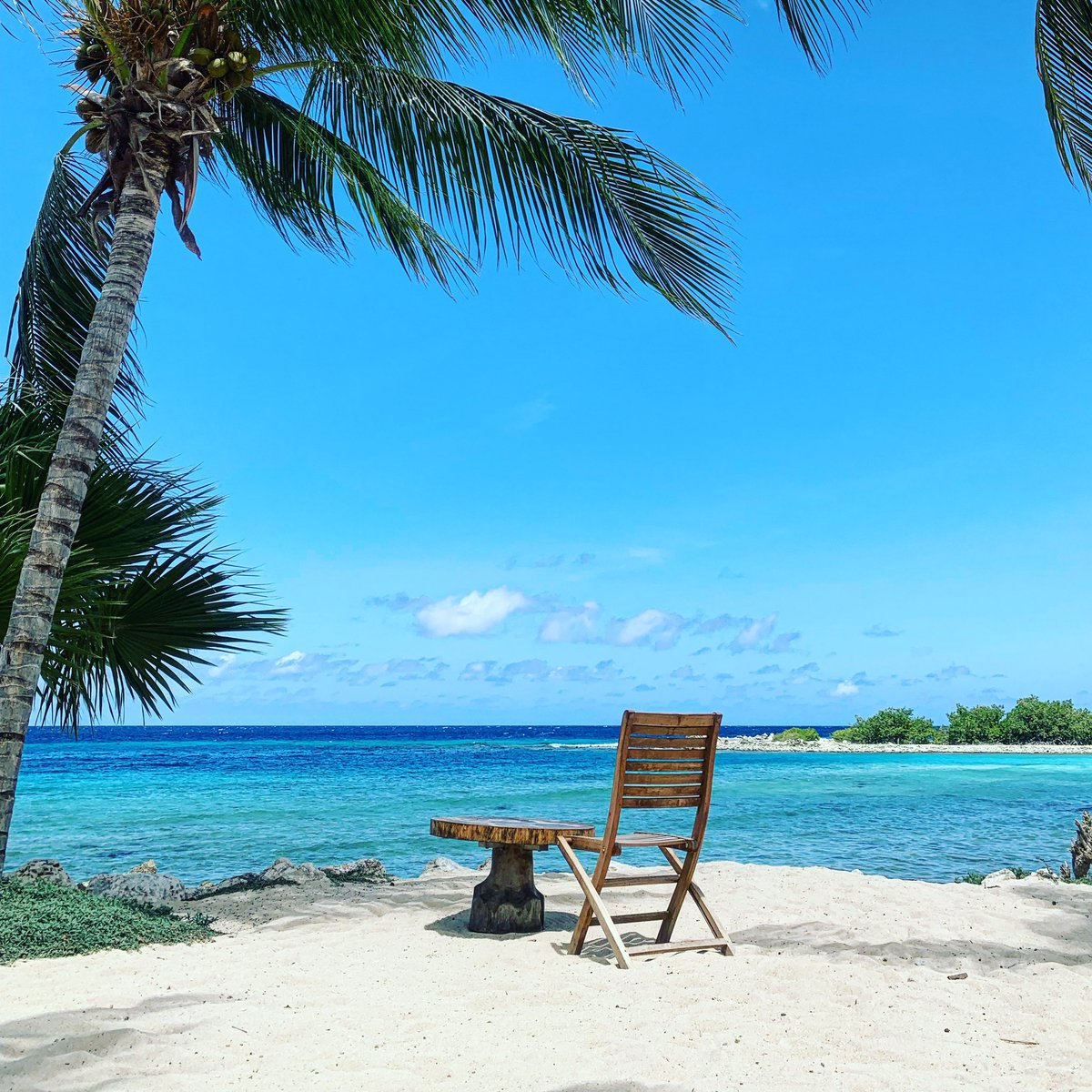 Perfect Office @ Koko's Curacao 🏖🇳🇷#spekglad #Curacao