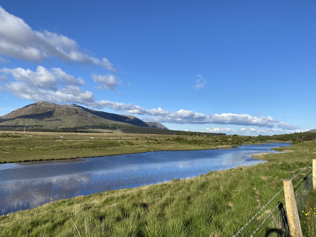 Caoimhe de Búrca tweet media