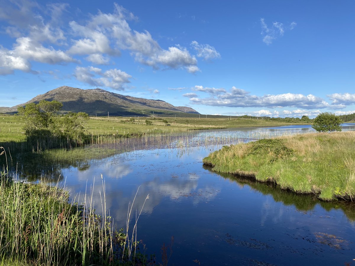 Caoimhe de Búrca tweet media