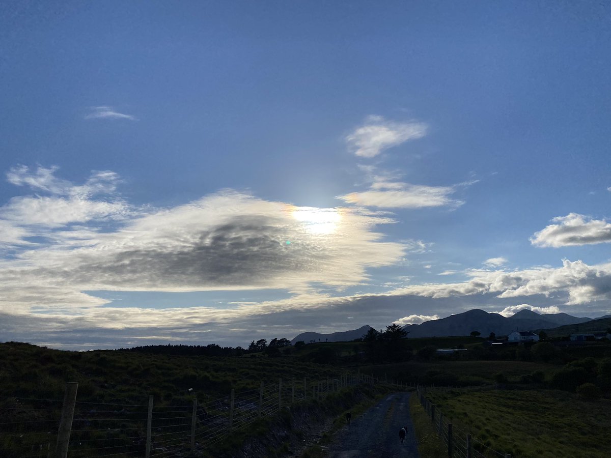 Caoimhe de Búrca tweet media