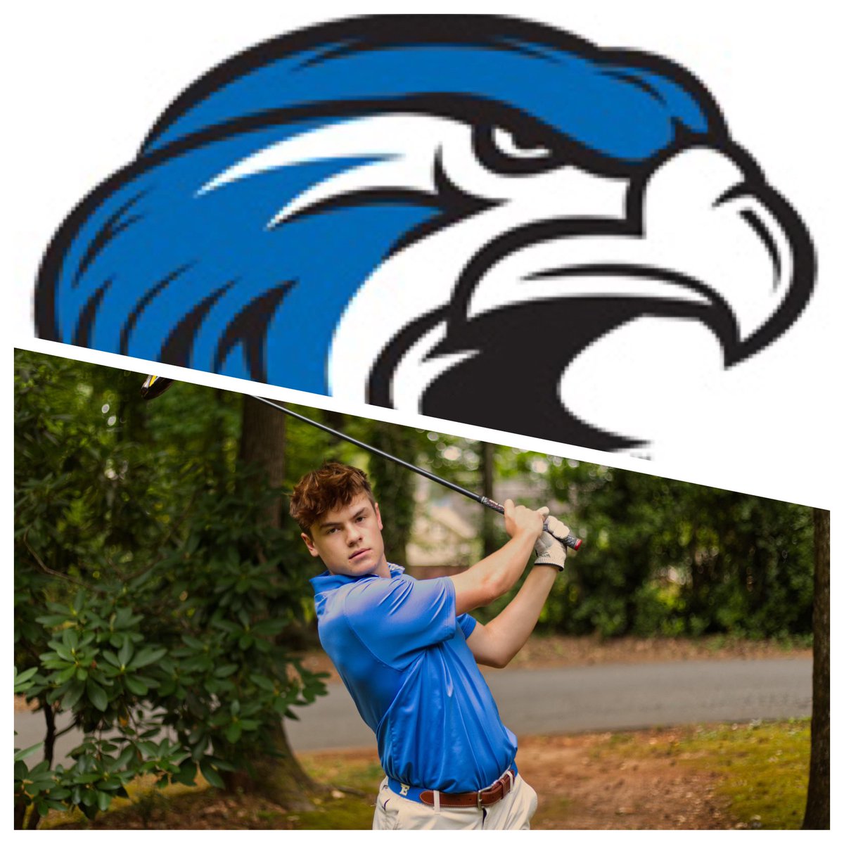 Etowah HS Boys Golf tweet media