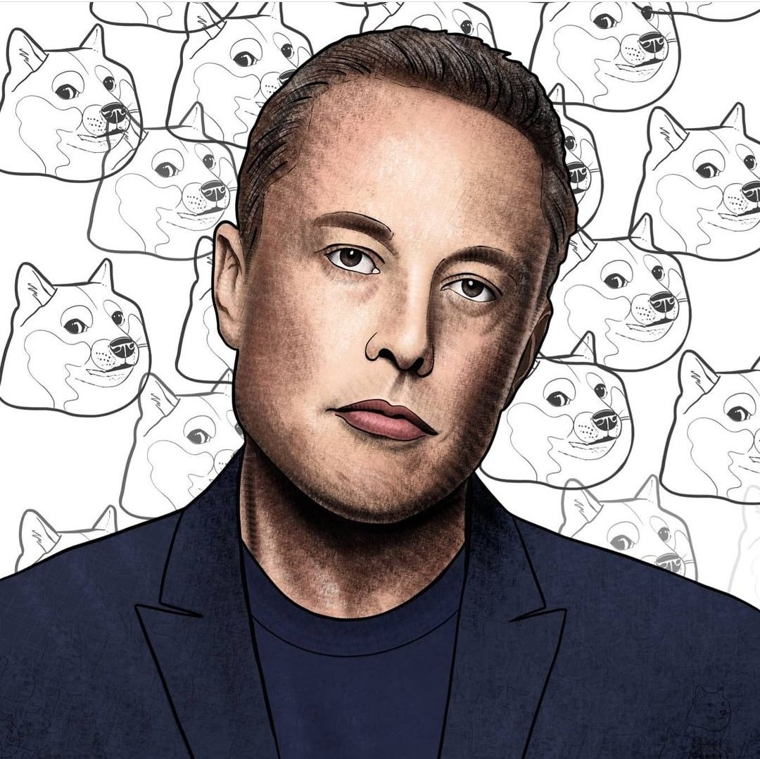 Ledger $HERO by Arnilla Studios tweet media