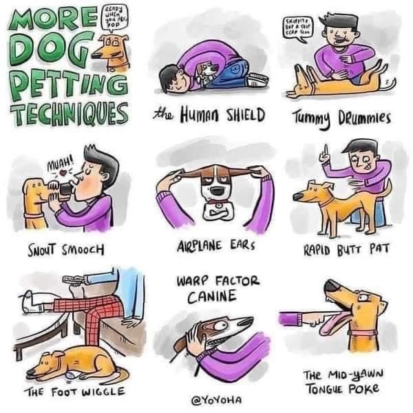 RCVH5150's tweet photo. @rickygervais Thanks for the logical humor that offends everyone equally. Here is a cartoon I stole. Dogs are so much better than humans. Thanks for afterlife. https://t.co/RSCkovyZ8o