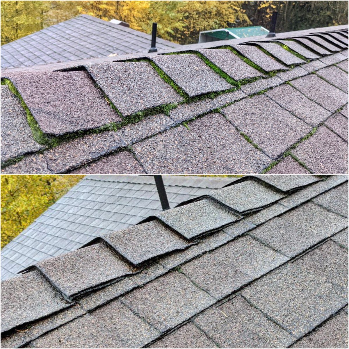 SuncoWindow's tweet image. Moss is sneaky and likes to make home in the smallest of spaces. Our attention to detail is unlike any other, no moss can hide from us! 
#satisfaction #satifying #roofcleaning #mossremoval