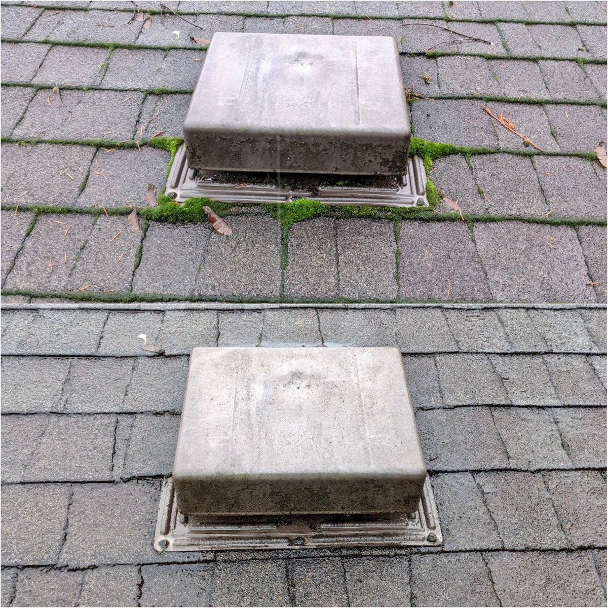 SuncoWindow's tweet image. Moss is sneaky and likes to make home in the smallest of spaces. Our attention to detail is unlike any other, no moss can hide from us! 
#satisfaction #satifying #roofcleaning #mossremoval