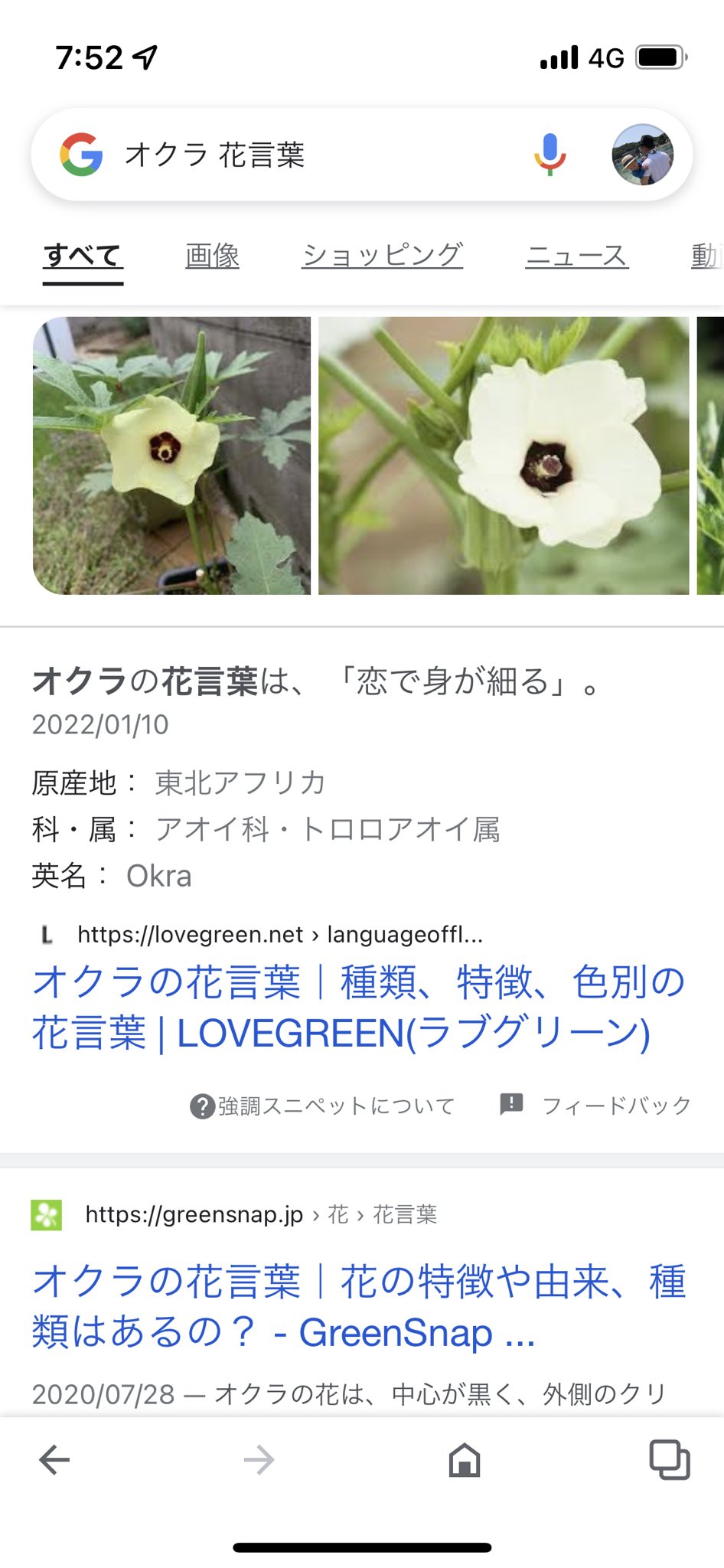 تويتر Tomoya على تويتر オクラの花言葉 めっちゃ笑ったww 恋で身が細るってw まぁ確かにシーズン始まったら 痩せるけど 夏バテだと思ってたけど恋で食欲落ちてたのかぁ T Co Et5szuzws2 تويتر Tomoya على تويتر オクラの花言葉 めっちゃ笑ったww 恋で身が細るってw まぁ確かにシーズン始まったら 痩せるけど 夏バテだと思ってたけど恋で食欲落ちてたのかぁ T Co Et5szuzws2