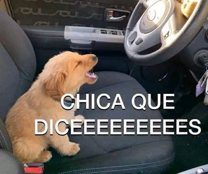 kilodecilantro's tweet photo. QUE ENGAÑARON A SHAKIRA!!?????????? https://t.co/GsEiMhp3Y1