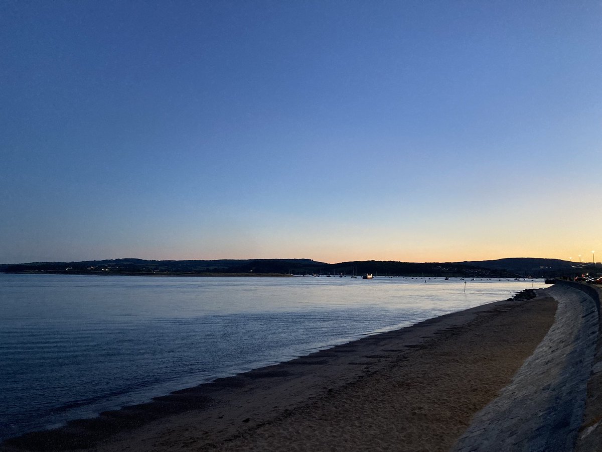 Dr Amelia King tweet media