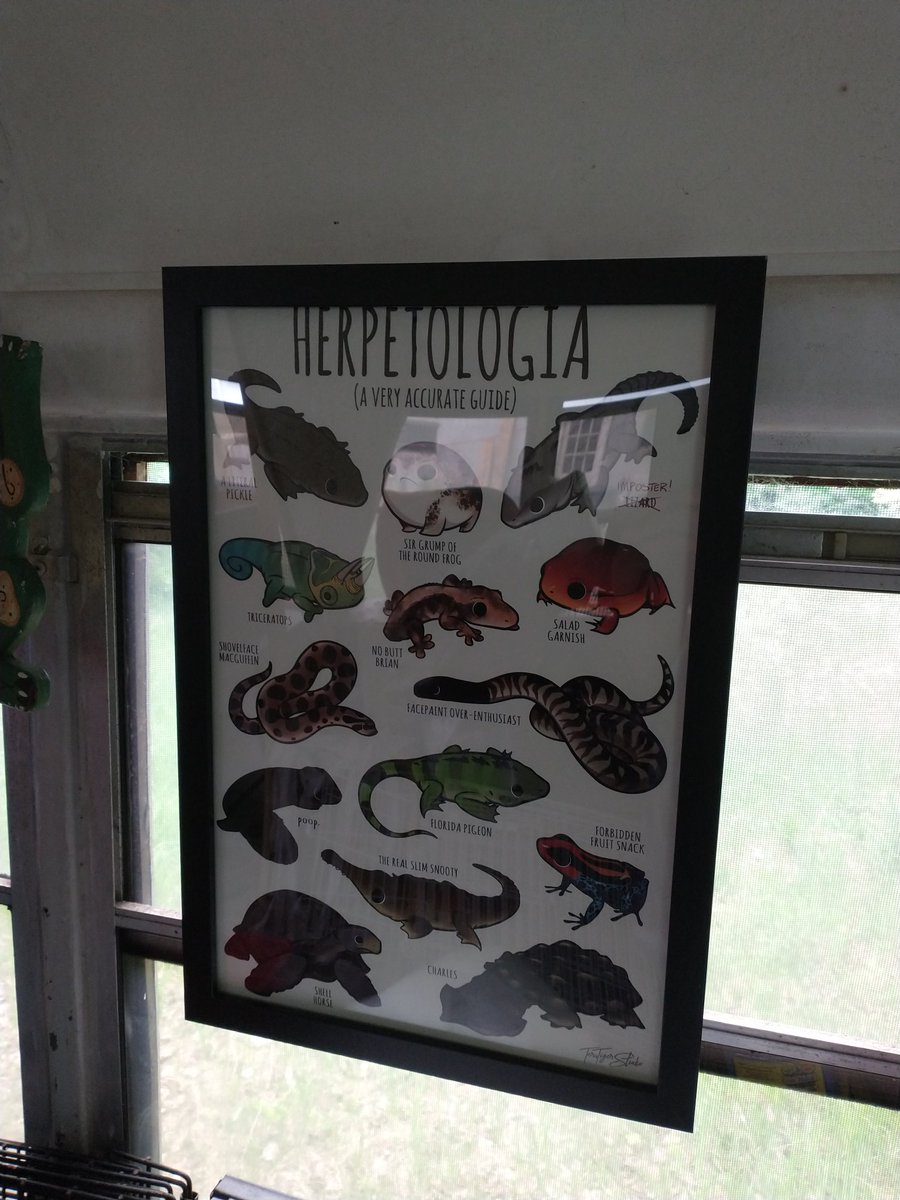 Rev Debbie Philp 🌻🍂🐿️🐢🦎🐍 tweet media