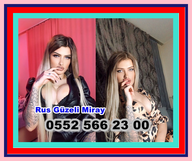 Cankut (@cankut75398494) on Twitter photo 