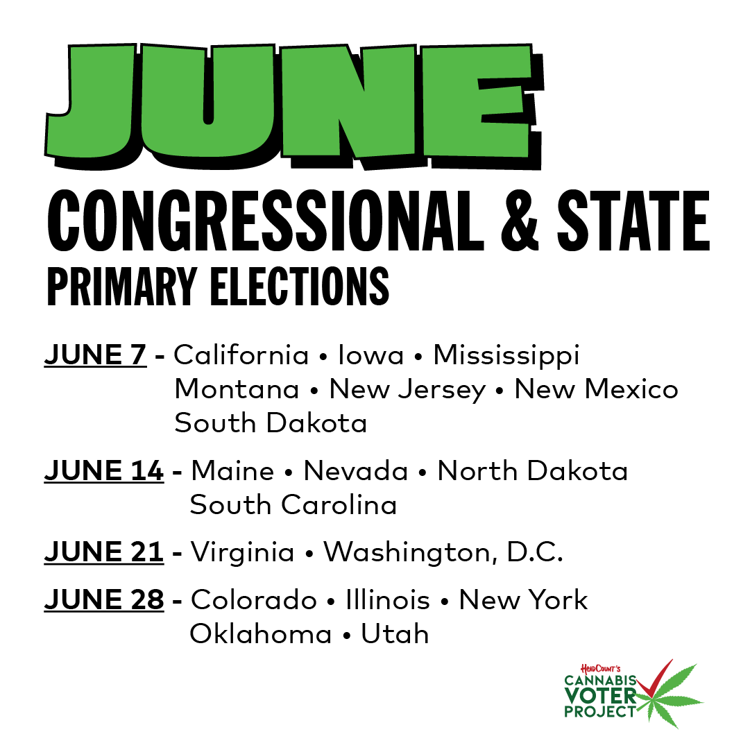 Cannabis_Voter's tweet photo. Congressional primaries are often just as consequential as the general election.

17 states + D.C have primaries this month. 

Are you ready to vote? Make sure at https://t.co/B5TpqkO9M1 https://t.co/KdLtDm7I4o