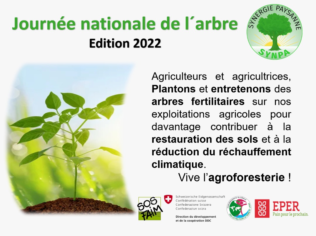 SPaysanne's tweet photo. #arbres #Bénin #agroforesterie #rechauffementclimatique #restaurationdessol #wasexo https://t.co/sM3QRUhc11