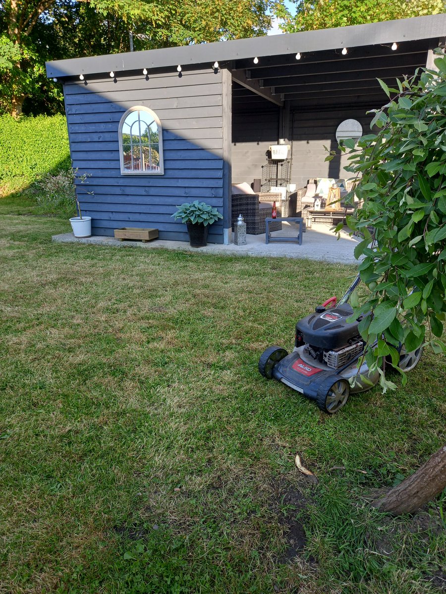 cerinorm's tweet photo. @jamiedavies1804 @lisa_morgan40 The bees are on there own from here...... butchered the paddock https://t.co/PtKy1UDz5n