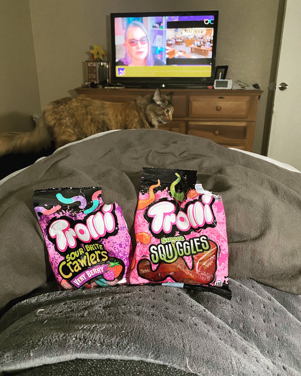 aRealSchmidt's tweet photo. Got my heat pack, pain meds, gummies, kitty, and @theemilydbaker for the verdict! 

#DeppTrial #DeppVsHeard #EmilyDBaker #JusticeForJohnnyDepp https://t.co/lnW6F30TtB