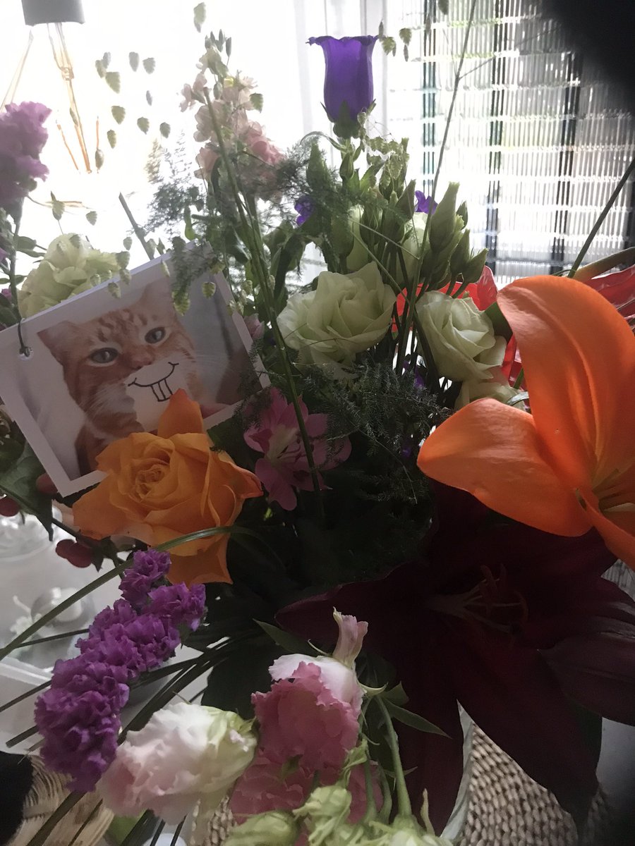 Hipspul's tweet image. Ik kreeg bloemen van mijn lieve collega’s, ze kennen me niet zo goed #idontlikecats #welmooiebloemen #ziektewetje