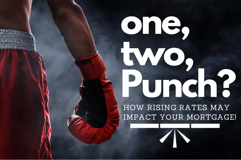 BenchmarkM's tweet image. Bank of Canada Announcement: The one-two punch impacting some mortgage rates! All the info you need to know by checking out the link bmrk.ca/BankofCanadaJu… (4 min read with video) #BankofCanada #yegrealestate #yegmortgages