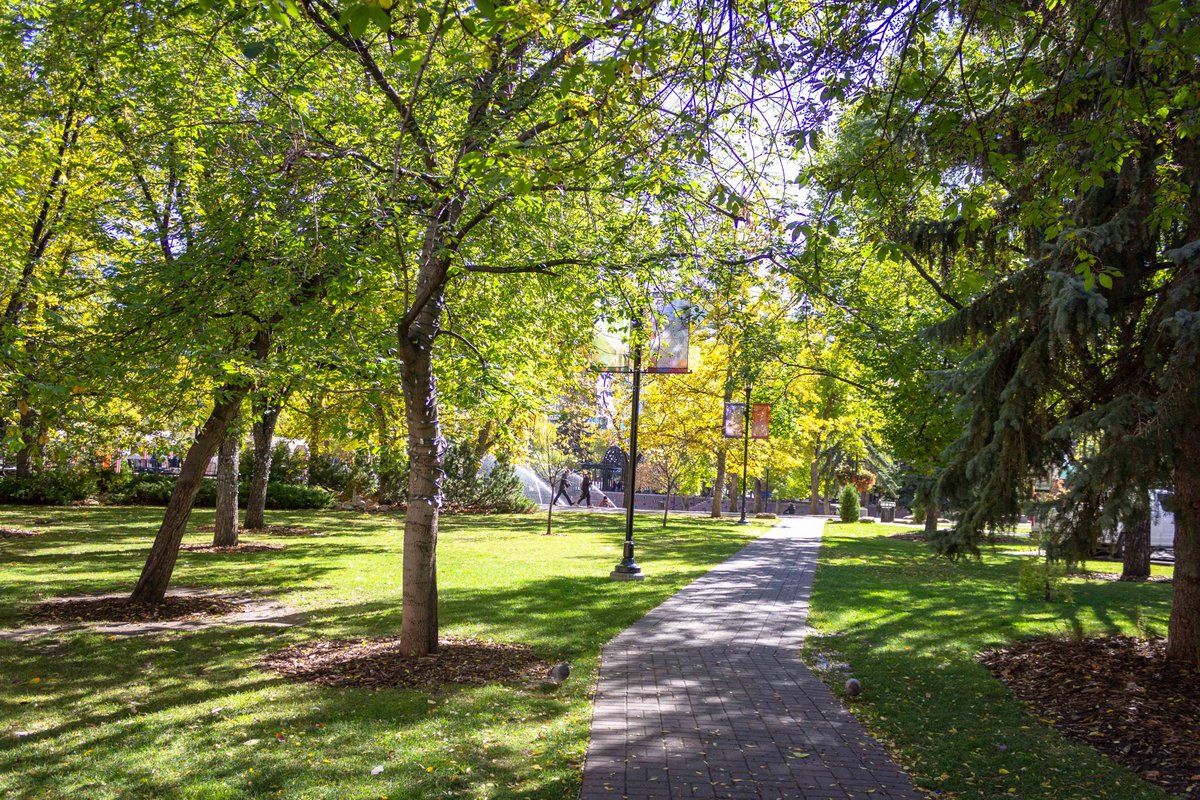 🌲Ever gone for a walk in your community and wondered what kind of trees you are walking by and whether you could plant them in your own yard?
🌳Join @calgaryparks for a Tree Identification walk with an Urban Forestry Technician. 
⬇️See below for dates and locations.