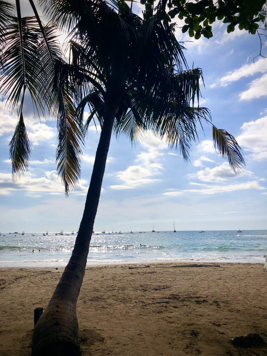 palmverse's tweet photo. Finding the first location was very challenging as there were not so many options on the market that could fit Palmverse. We are very grateful for the help from all the lovely local people🙏. 
1/3🧵

#SolanaNFT #UtilityNFT #Solana #SolNFT https://t.co/i9GiZNPK6m