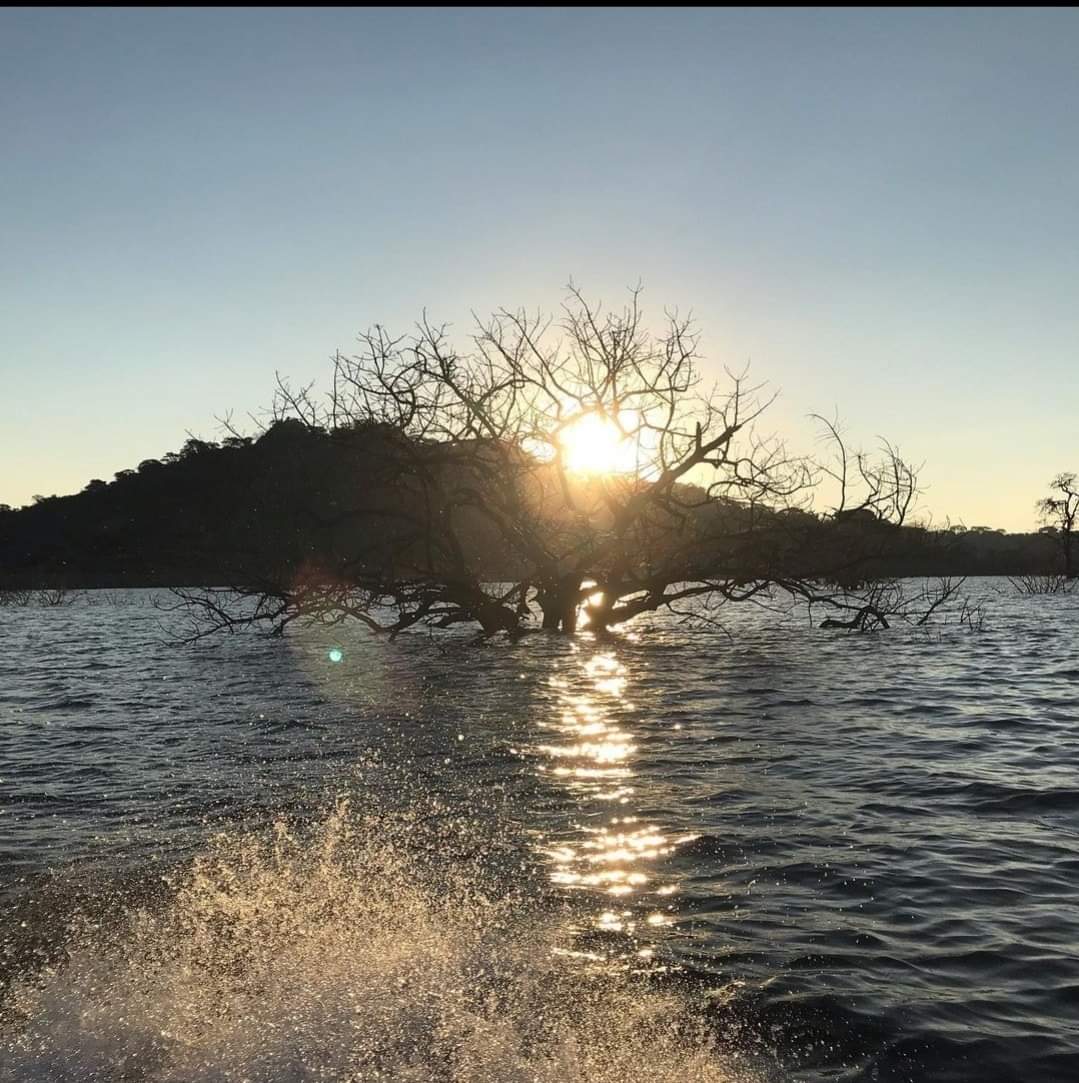 ZtaUpdates's tweet image. Did you know Tokwe-Mukosi dam was built to provide irrigation to the Chibi communal area in Masvingo which receives low rainfall? The dam is also a tourism attraction. Activities include, fishing, dam wall walks , boat cruises.
#VisitZimbabwe 
#VisitMasvingo
#ZimBho👍
#MeetInZim