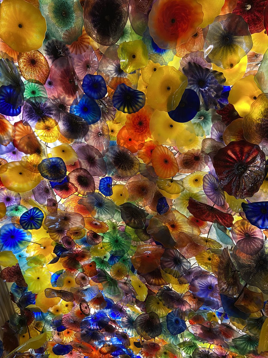 heiltsuk_paleo's tweet photo. The ceiling at the Bellagio in Las Vegas always makes me think of a #Pap slide under the microscope. #Papanicolau #cervical #cytology #HPV #dysplasia #transformationzone #pathology #gynecology #preventivecare @Bellagio https://t.co/7UhHYNypLa