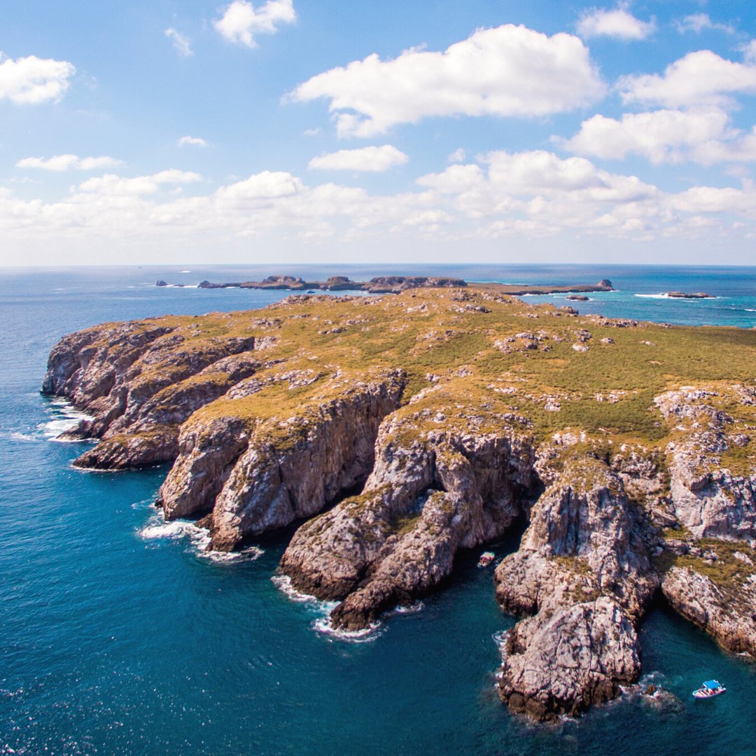 Fun Fact: El Parque Nacional #IslasMarietas, fue declarado como Área Natural Protegida desde el 25 de abril del 2005.

#rivieranayarit #Nayarit #nayaritdespiertaloenti #visitmexico #natualeza #aventura #funfacts