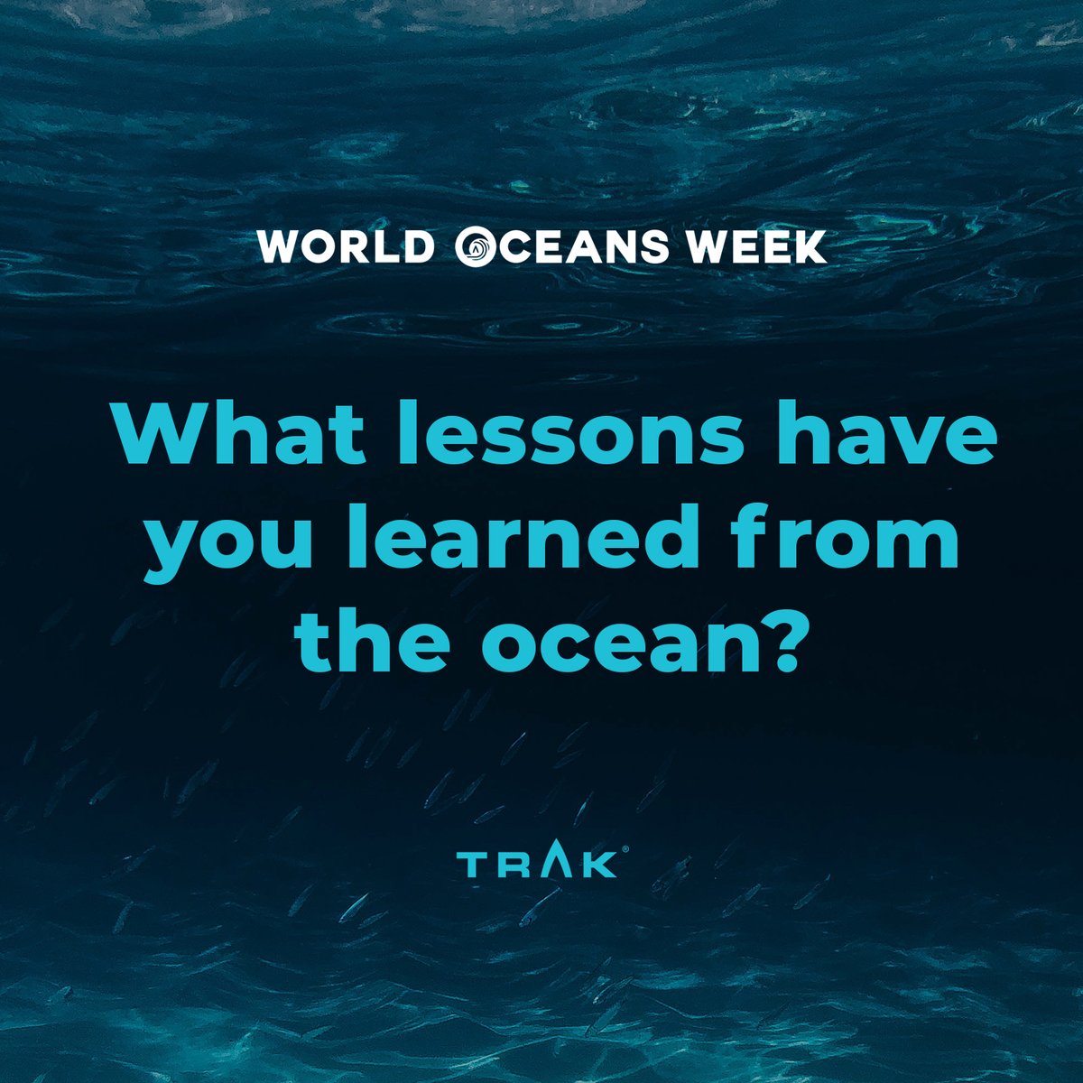 Welcome to World Oceans Week! 
Every day we ask a different question about our relationship to the oceans around us… today’s is: “What lessons have you learned from the ocean?” 
We would love to hear from you!  
Please share and comment.
#TRAK #WorldOceansWeek #WorldOceansDay
