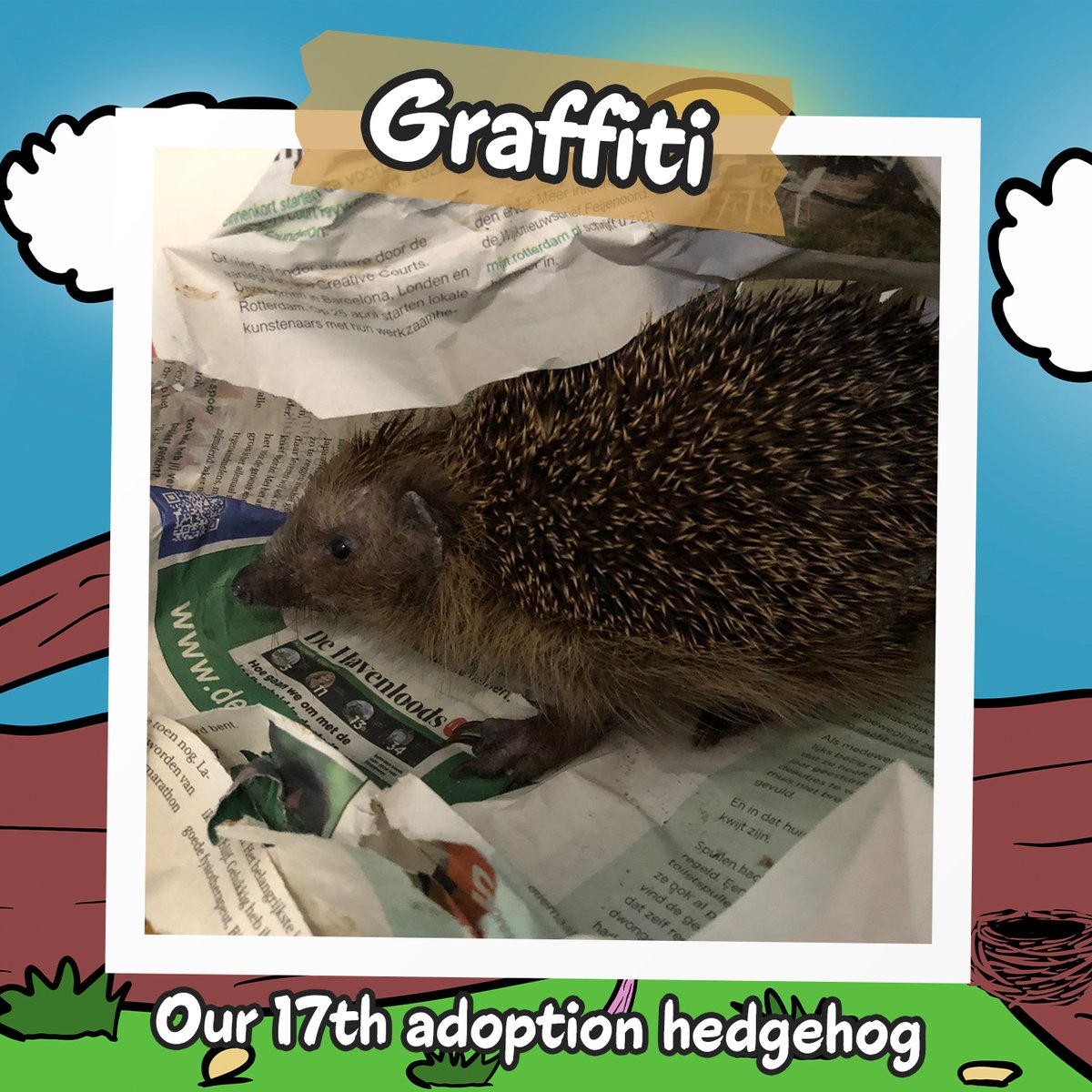 HedgehogsNFT's tweet photo. Meet Graffiti, our 17th(!) adoption hedgehog 🦔🥰

"This is hedgehog Graffiti. Graffiti is a very emaciated hedgehog found in the forest "Balijbos". Upon arrival, this little hedgehog weighed only 427 grams. Really too little. We don't know exactly what happened...

1/3 https://t.co/zYf3duNClO